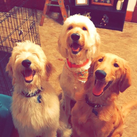 Meet your Posher, Paige - Picture 1 of 1